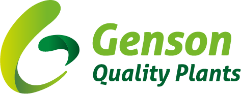 Genson Quality Plants